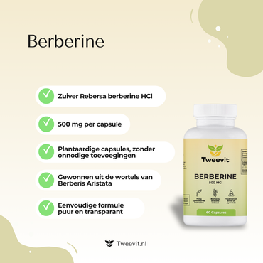 Berberine – 500 mg